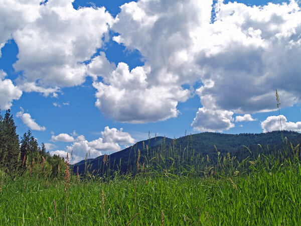 Grassy Field with Mountains and a Partly Cloudy Blue Sky in Background