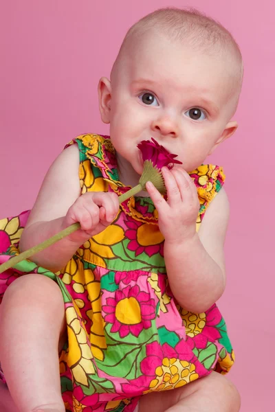 Kwiat noworodek — Zdjęcie stockowe