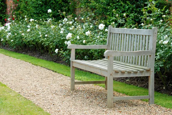 Деревянная скамейка в розовом саду — стоковое фото
