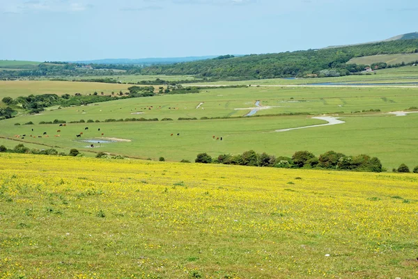 Engelska landsbygden med blommor — Stockfoto