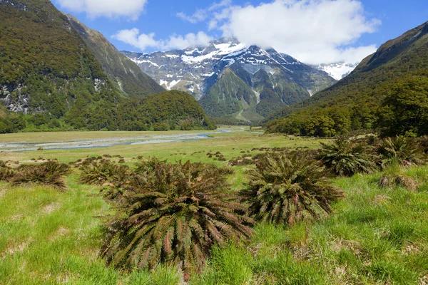 景区新西兰 — 图库照片