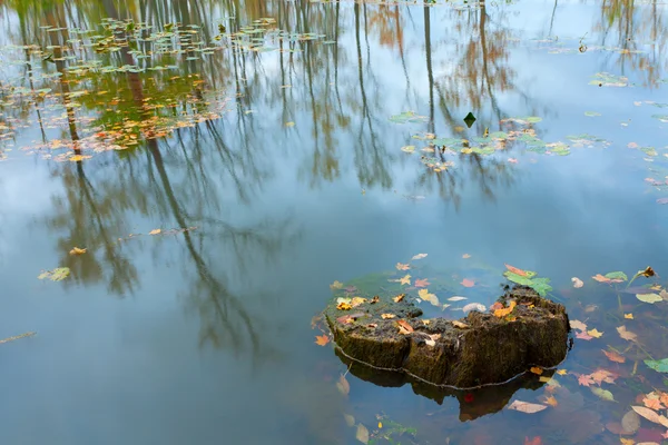 stock image Fall lake Reflections