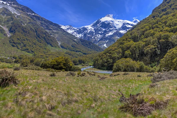 Nueva Zelanda escénica — Foto de Stock