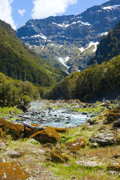 Schilderachtige vallei in Nieuw-Zeeland — Stockfoto