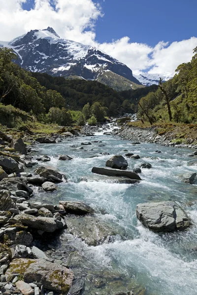 Yeni Zelanda doğal Vadisi — Stok fotoğraf