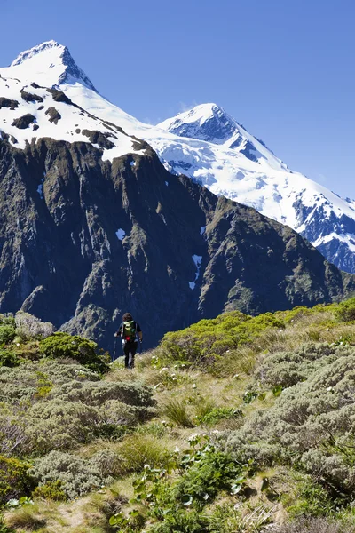 Alpine wandelaar — Stockfoto