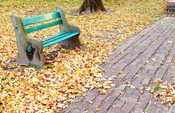 Park in the fall — Stock Photo, Image