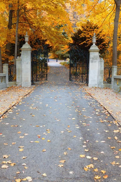 Park gates — Stock Photo, Image