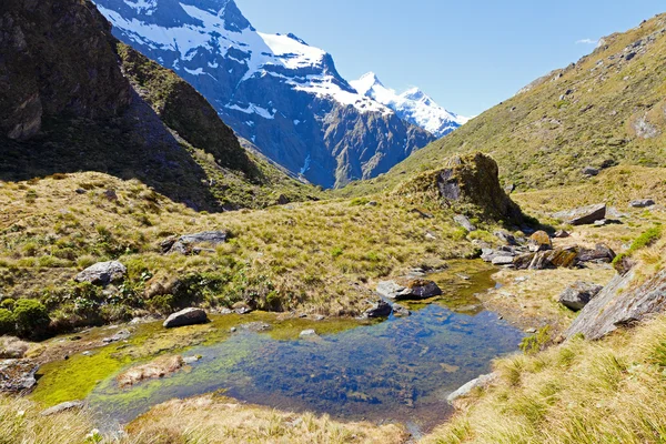 Montañas de Nueva Zelanda —  Fotos de Stock