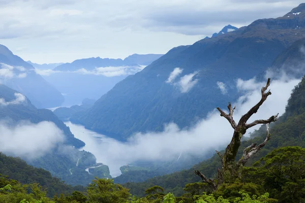 Doubtful Sound — Stock Photo, Image