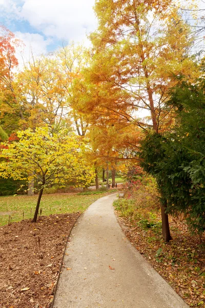 Fall in the park — Stock Photo, Image