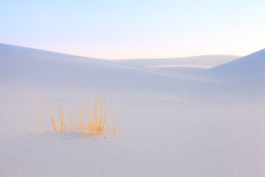 White Sands clipart