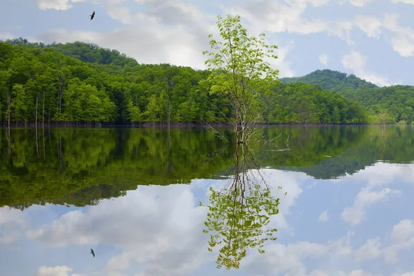 Sjön under våren — Stockfoto