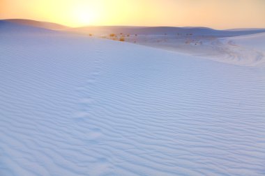 White Sands Footprints clipart