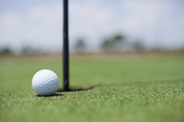 Golf topu deliğe at
