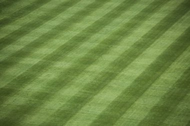 Baseball Stadium Grass clipart