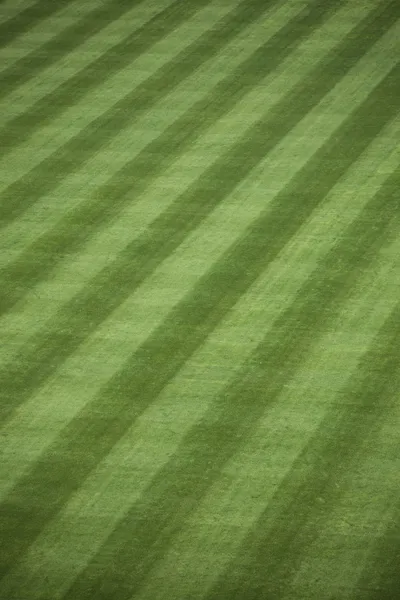 Čerstvé outfield tráva — Stock fotografie