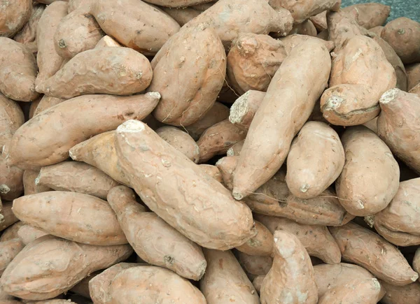 Бататский сладкий картофель — стоковое фото