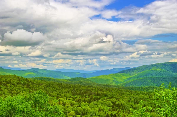 Grüne Hügel mit blauem Himmel. Sommerlandschaft — Stockfoto