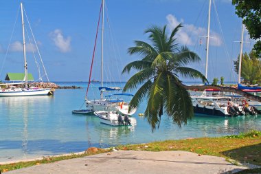 Port on La Digue island clipart