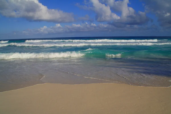 Stock image Tropical see with waves