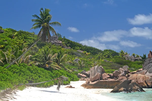 Prázdná pláž na la digue, Seychely — Stock fotografie