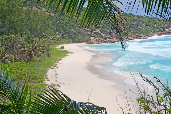 Lege strand op het eiland la digue, Seychellen — Stockfoto