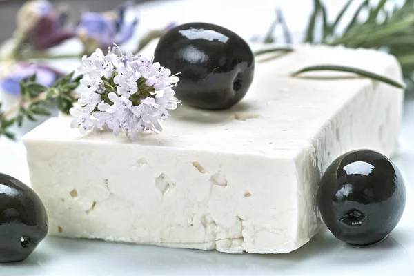 stock image Sheep's milk cheese