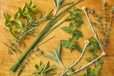 Fresh herbs clipart