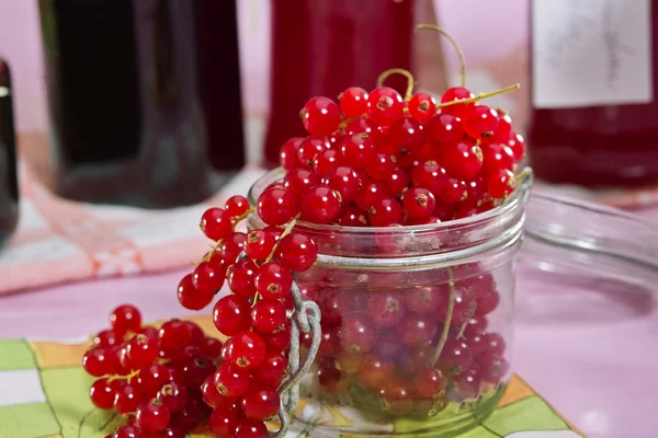 Currants in the glass — Stock Photo, Image