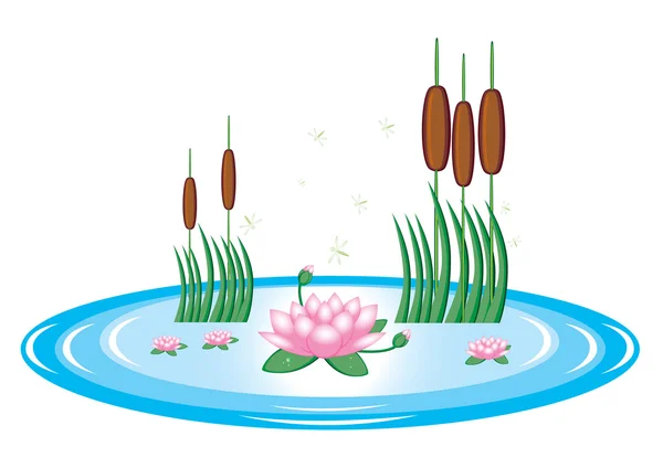 Pond with lily and water reeds — Stock Vector