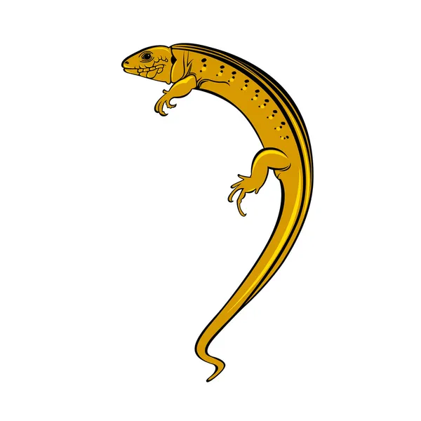 Lézard un gecko — Image vectorielle