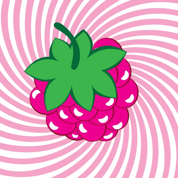 色香味俱全的成熟莓 — 图库矢量图片