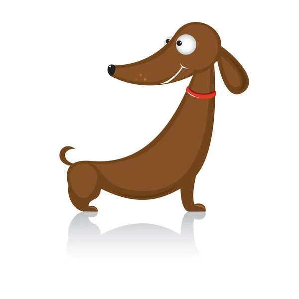 Dibujos animados perro divertido raza dachshund — Vector de stock