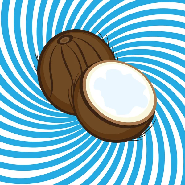 Спелый кокос — стоковый вектор