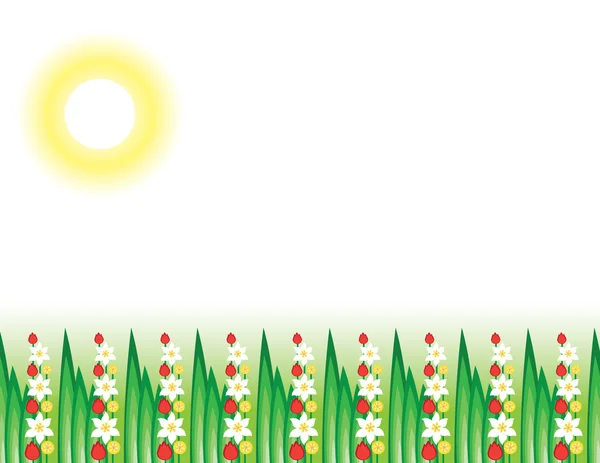 Цветущая трава на солнце — стоковый вектор