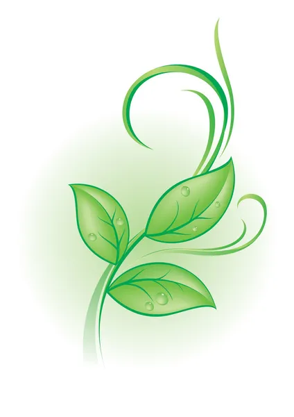 Zöld növény — Stock Vector