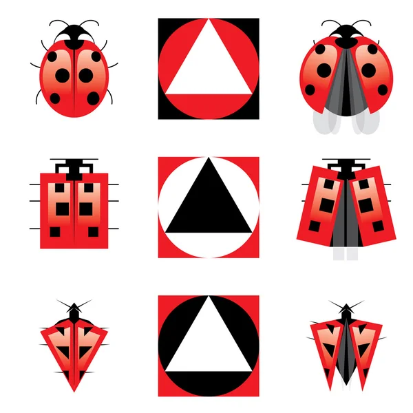 Conceptual Evolution of Ladybug — Stock Vector