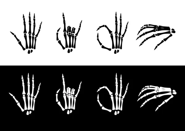 Conjunto de anatomía de la mano . — Archivo Imágenes Vectoriales