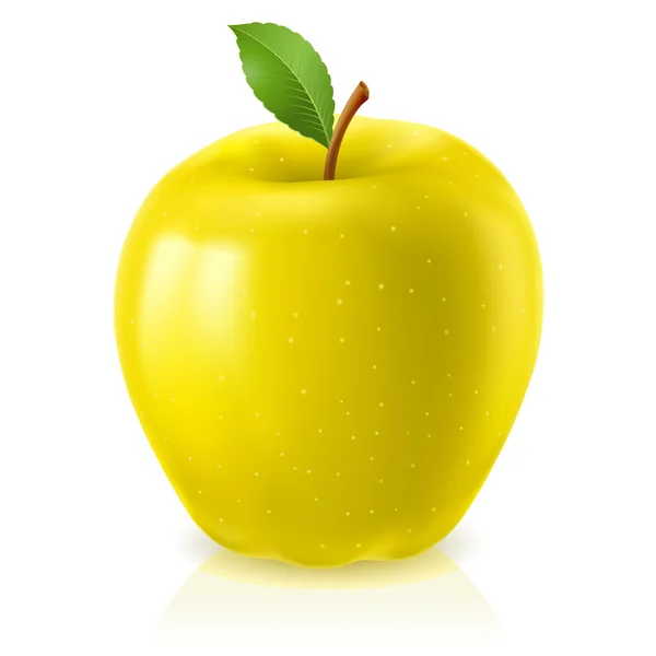 Manzana amarilla madura — Vector de stock