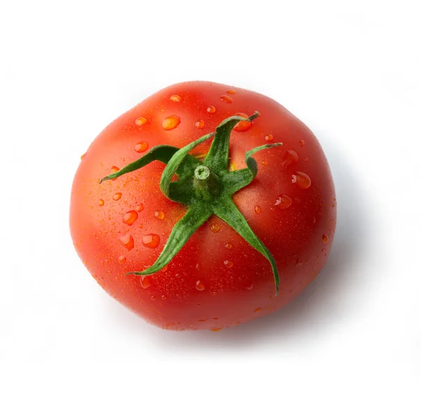 Tomate mit Tropfen — Stockfoto