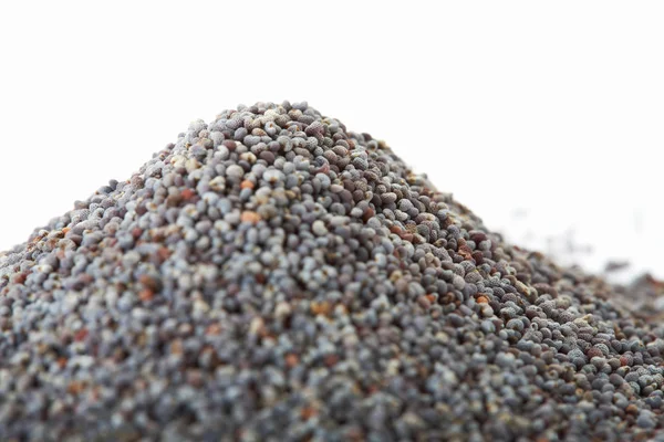 Closeup de sementes de papoila — Fotografia de Stock