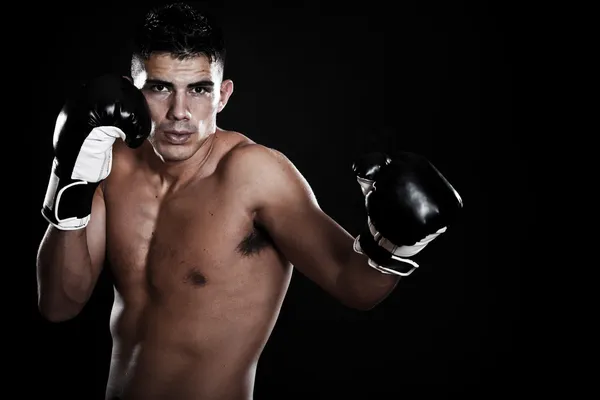 Латиноамериканский боксер — стоковое фото