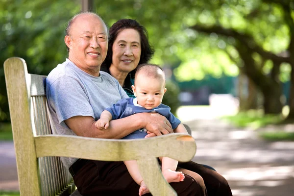 Ребенок, бабушка и дедушка в парке — стоковое фото