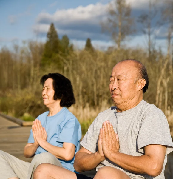 Aktive Senioren asiatische Paar — Stockfoto