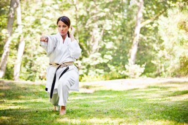 Asya pratik karate