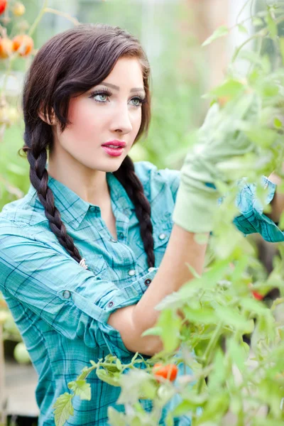 Gardening woman — Stock Photo, Image