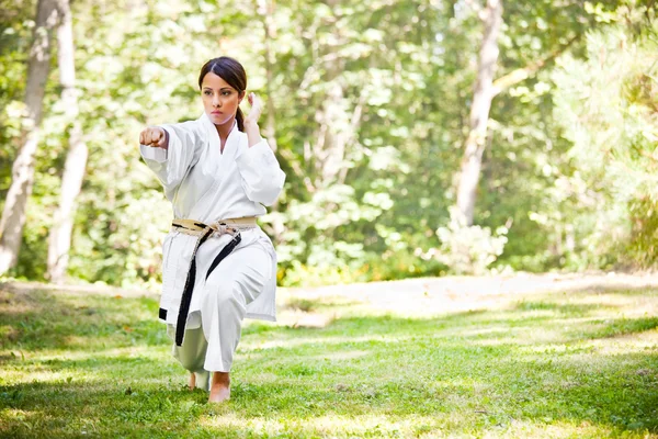 Asian practicing karate — Stock Photo, Image