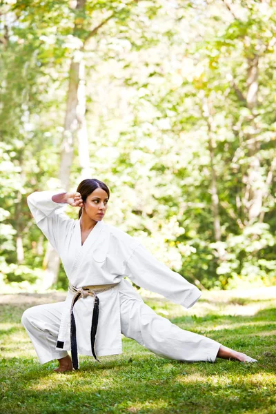 Asiática practicando karate —  Fotos de Stock