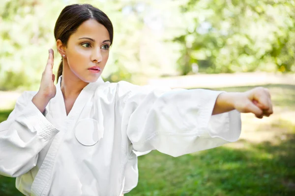Azjatycki ćwiczyć karate — Zdjęcie stockowe